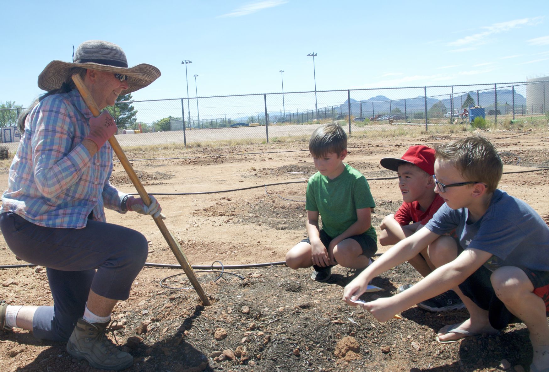 Planting pumpkins